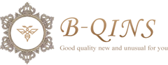 B-QINS(ビークインズ)のロゴ