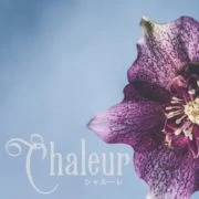 Chaleur(シャルーレ)のロゴ