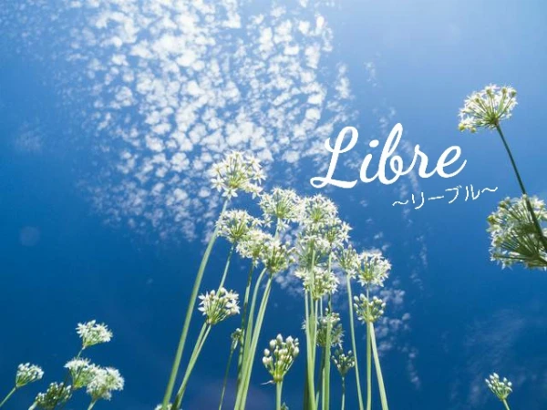 libre(リーブル)のロゴ