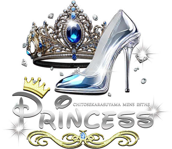 終電前のPrincessのロゴ