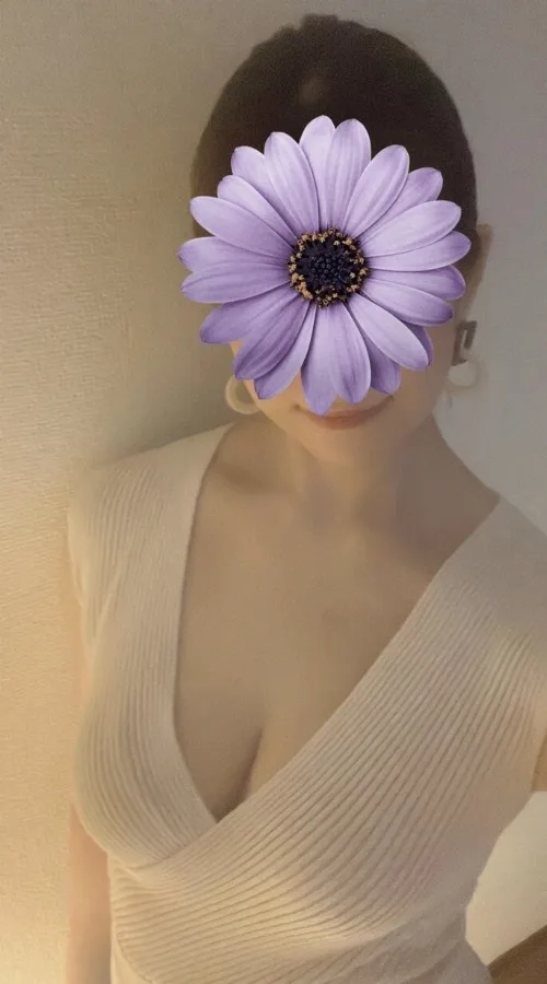 しおり