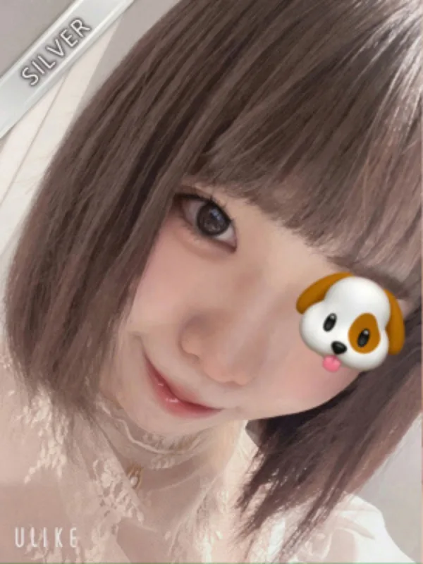 まかな(SILVER)