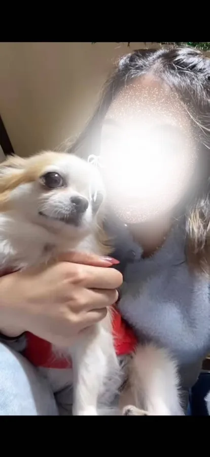 ニコル