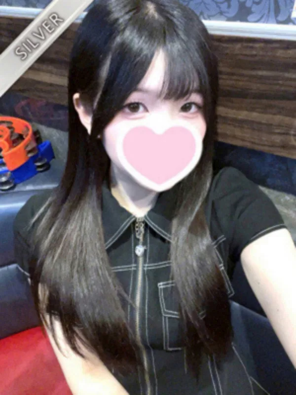 りる(SILVER)