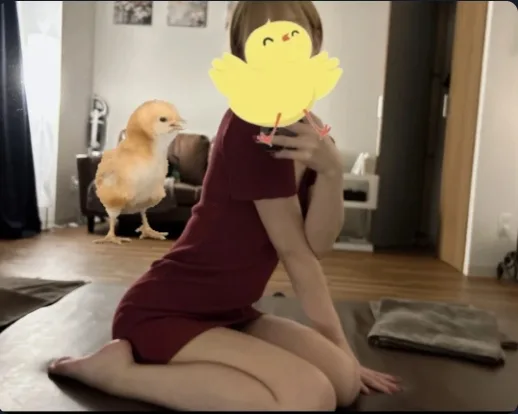 あいこ