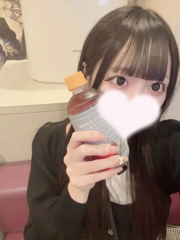 ちわわ
