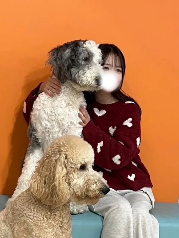 ひなこ