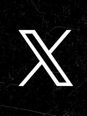 公式X