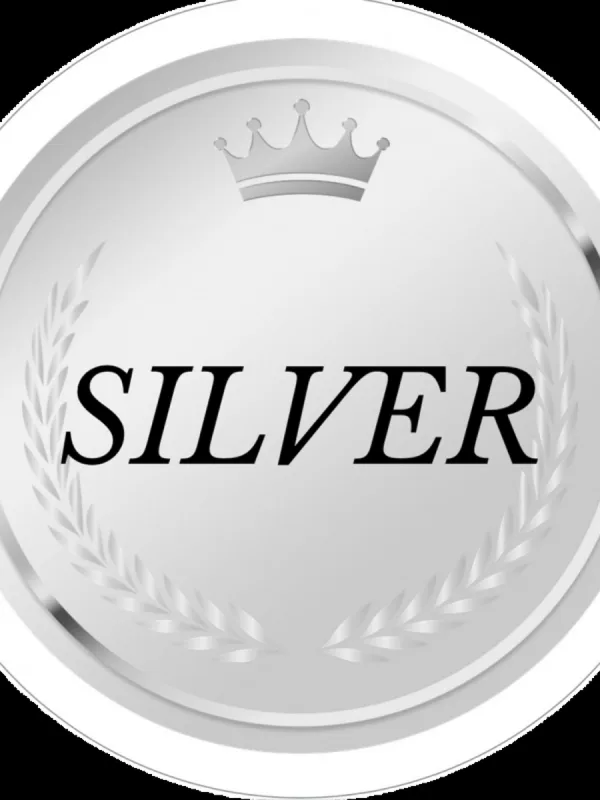 ⬇️シルバーセラピスト⬇️