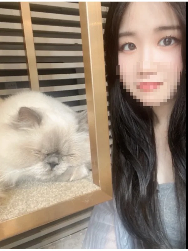 ゆか