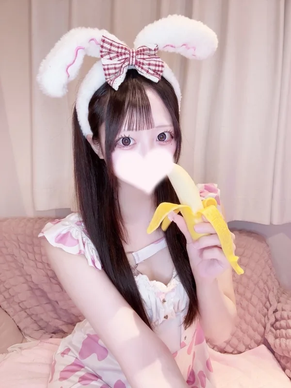 ちわわ