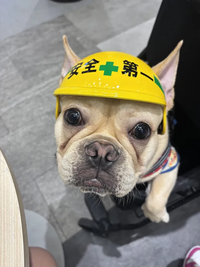 高橋 のぞみ