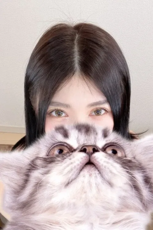 猫屋敷